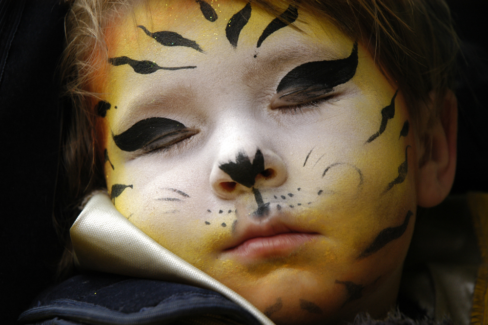 Sleeping Tiger