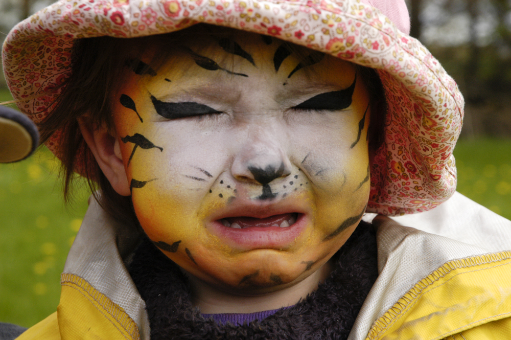 Unhappy Tiger